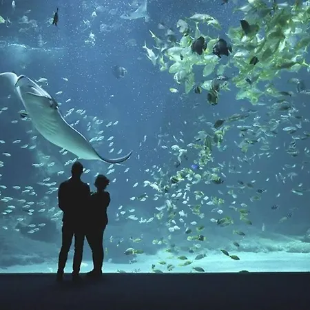 Apartmán Escapade Chez Les Marins Boulogne-sur-Mer